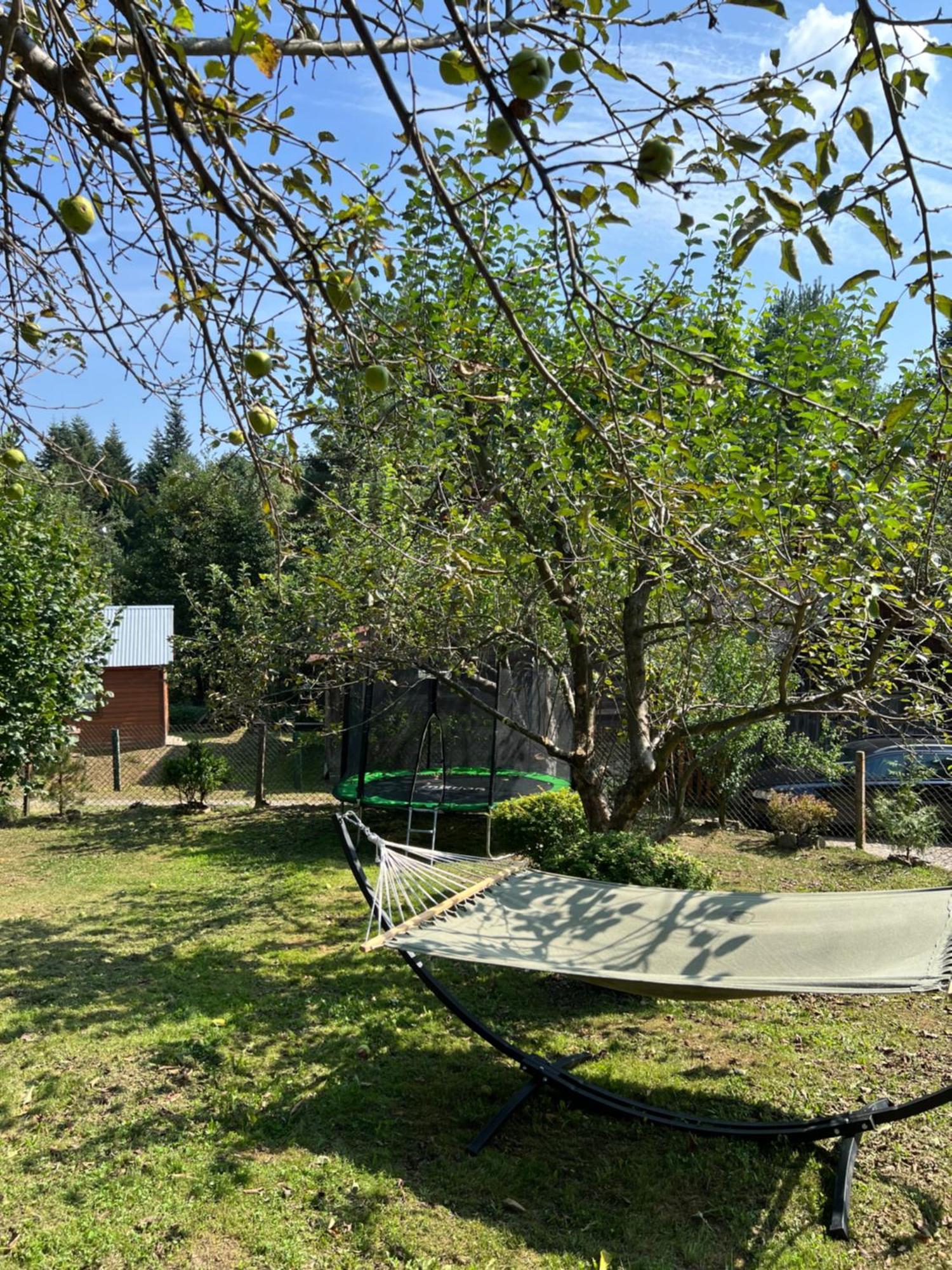 хвиля гір Lodge